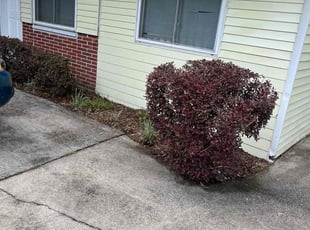 Bush Trimming by Ernso Sincere for Keisha S. in Tallahassee, FL