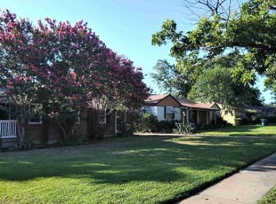 Alicia T.'s Lawn Maintenance service result