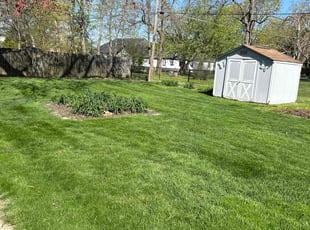Sunyung S.'s Lawn Maintenance service result