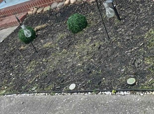 Weeding by Chris Reid for Shelion M. in Greensboro, NC