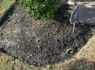 Weeding by Gladis Carcamo for Kafayat A. in Katy, TX