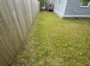 Lori G.'s Lawn Mowing Service service result