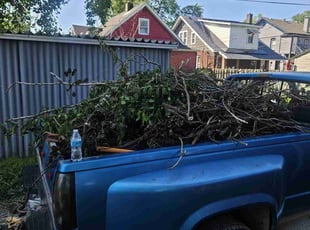 Leaf Removal by Jeff Bowers for Heather B. in Granite City, IL
