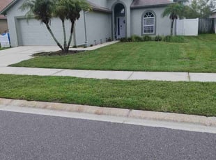 Yvonne C.'s Lawn Service service result