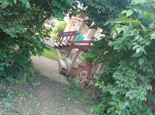 Bush Trimming by Robert Pittman for Melissa B. in Columbus, OH