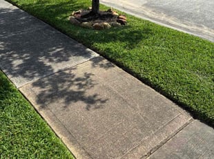 Weeding by Juan Mezomo for Bryan L. in Spring, TX