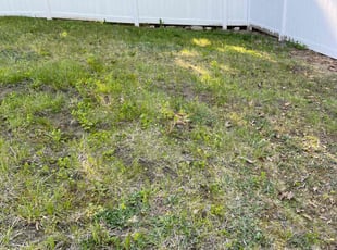 Cleanups by Mark Taijman for Jay H. in Waterbury, CT