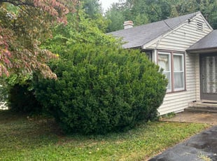 Bush Trimming by Steven Roberts for russell s. in Falls Church, VA
