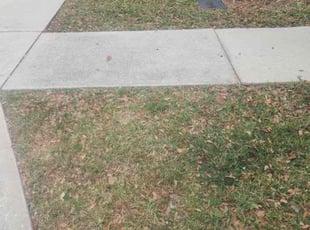 Weeding by Joseph Comerford for Elia H. in West Melbourne, FL