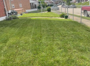 Charles E.'s Lawn Mowing service result