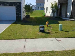 Faraz L.'s Lawn Mowing service result
