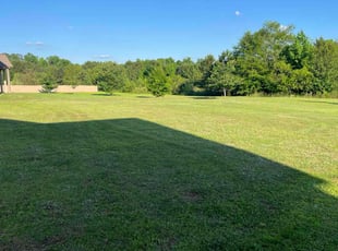 Chunte B.'s Lawn Mowing service result