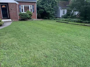 Mike G.'s Lawn Service service result