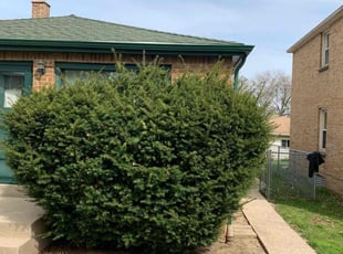 Cleanups by Evan Becker for Barbara F. in Milwaukee, WI