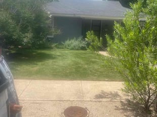 Weeding by Simon Sanchez Jr for Megan Z. in Dallas, TX