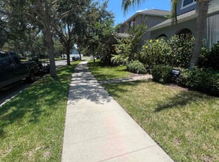John B.'s Lawn Mowing service result