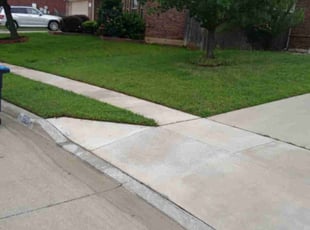Marisa S.'s Lawn Maintenance service result