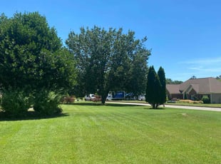 Mario W.'s Lawn Care service result