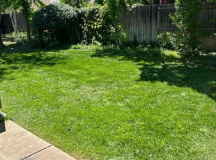 Deborah S.'s Lawn Maintenance service result