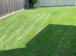 Krista W.'s Lawn Mowing service result