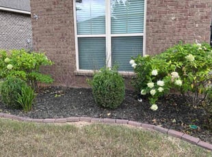 Bush Trimming by Chris Trauner for Noah L. in Madison, AL