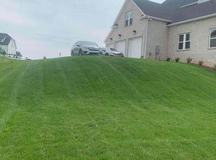 Daniel L.'s Lawn Mowing Service service result