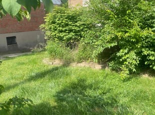 Bush Trimming by Nathaniel Turnbow for Matthew P. in Cincinnati, OH