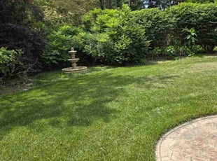 jessica G.'s Lawn Mowing service result