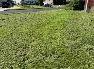 RAQUEAL E.'s Lawn Mowing service result