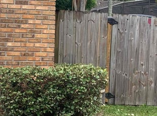 Bush Trimming by Jerry Merus for Anthony F. in Orlando, FL