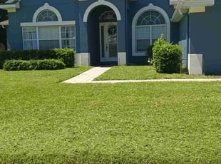 Kendall J.'s Lawn Mowing service result