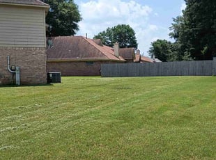 Lisa H.'s Lawn Care service result