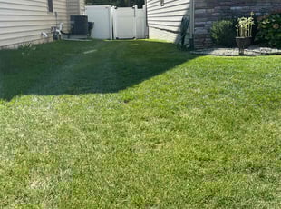Darrell B.'s Lawn Mowing service result