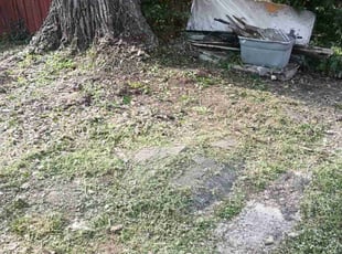 Leaf Removal by Caleb Patton for Terrell G. in Cincinnati, OH