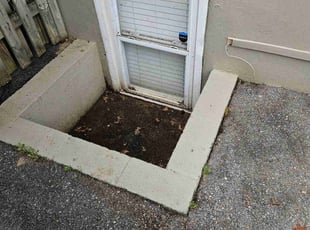Leaf Removal by Michael Holland for Andrew H. in Silver Spring, MD