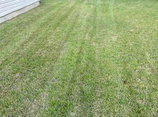 Erica F.'s Yard Cutting service result