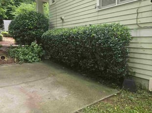 Bush Trimming by Roger Grimes for Chakell H. in Atlanta, GA