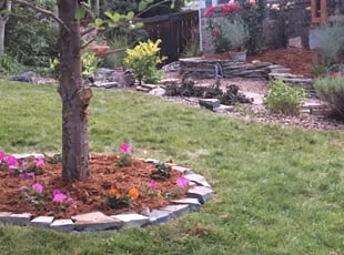 Cleanups by Chris Heath for David H. in Golden, CO
