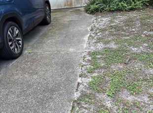 Leaf Removal by Luis Longa for Lorraine K. in Orlando, FL