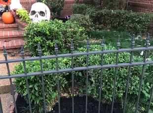 Mulching by Bridgette Hill for Wess H. in Memphis, TN