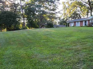 Amber C.'s Lawn Mowing service result