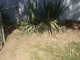 Weeding by Steve Flint for Macy N. in Kansas City, MO