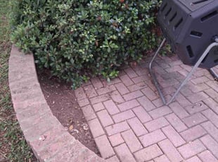 Leaf Removal by Terrell & Dana Wyatt for Anissa H. in Corpus Christi, TX