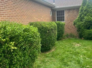 Bush Trimming by Phillip Crews for Faryal D. in Toledo, OH