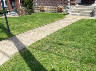 Richard R.'s Lawn Care service result