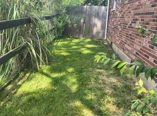 Cleanups by Kevin Philips for Kimberly H. in Florence, KY