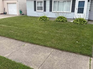 Weeding by Brandon Rachas for Derwin D. in Roseville, MI