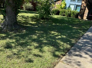 Daphne E.'s Lawn Care service result