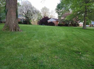 Ardell s.'s Lawn Mowing Service service result