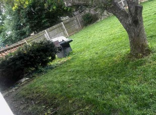 Bush Trimming by George Byrd for Jackie F. in Omaha, NE